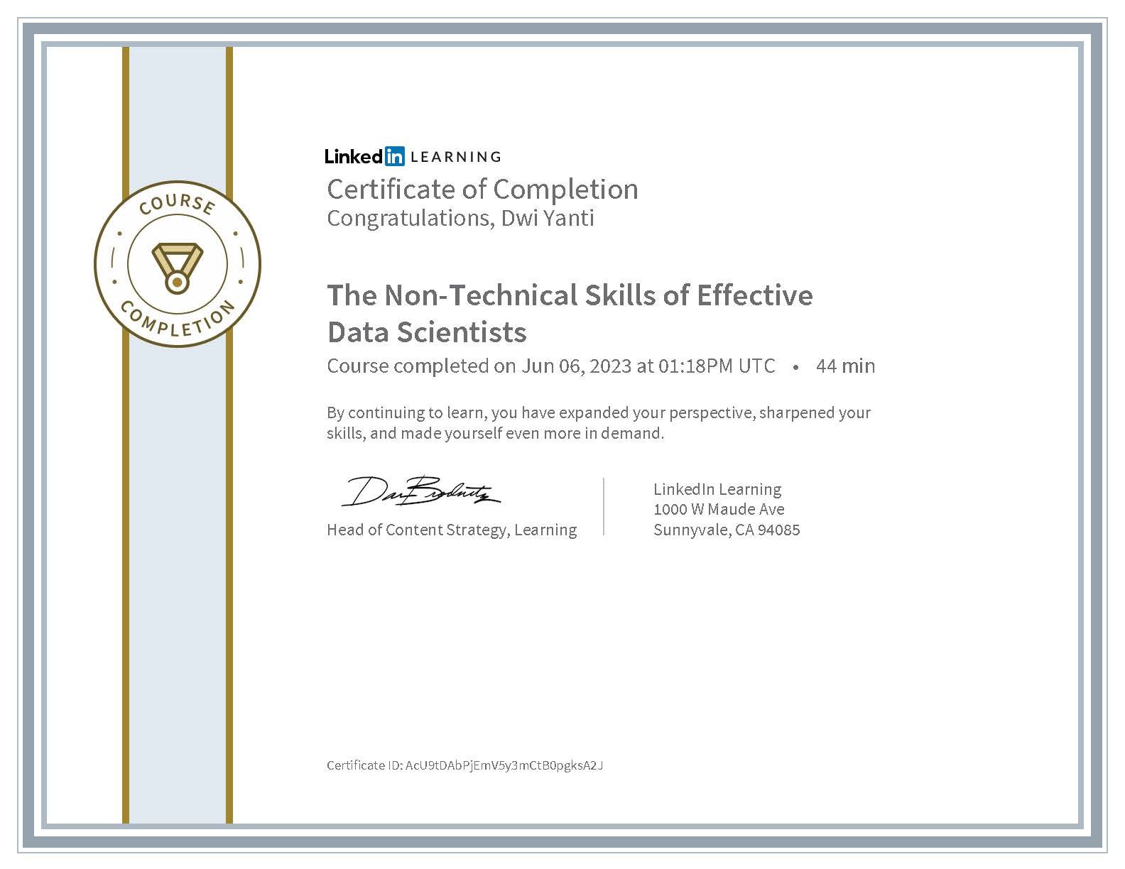 The Non-Technical Skills of an Effective Data Scientist
